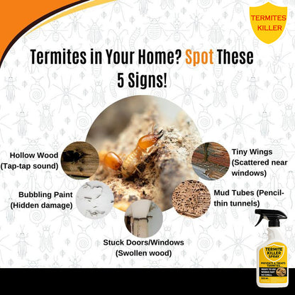 No Smell Termite killer